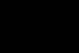 DSC00028 DSC00028